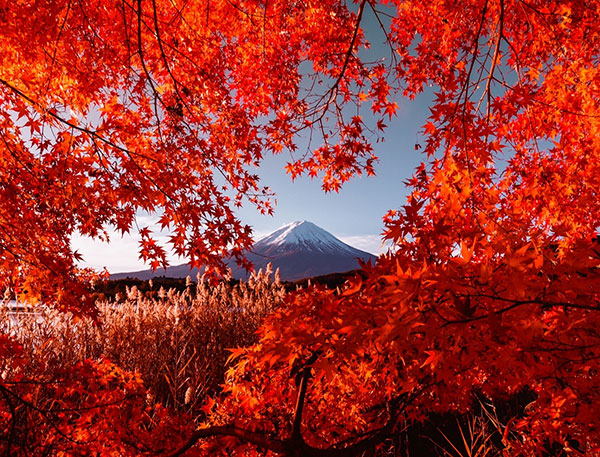 عکس قله کوه در طبیعت پاییزی