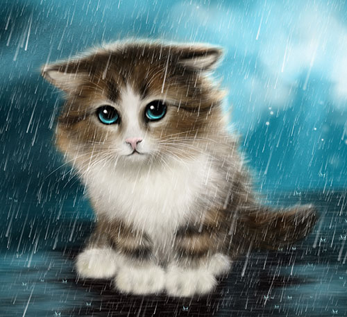 گربه کارتونی زیر باران