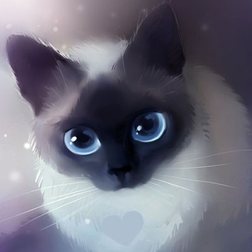 عکس گربه برای نقاشی 