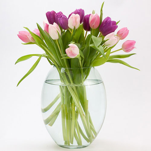 عکس گلدان گل لاله
