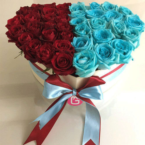 عکس باکس گل رز آبی و قرمز