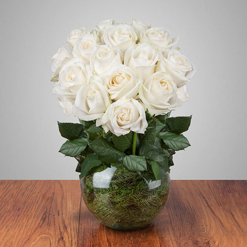 عکس گلدان گل رز سفید
