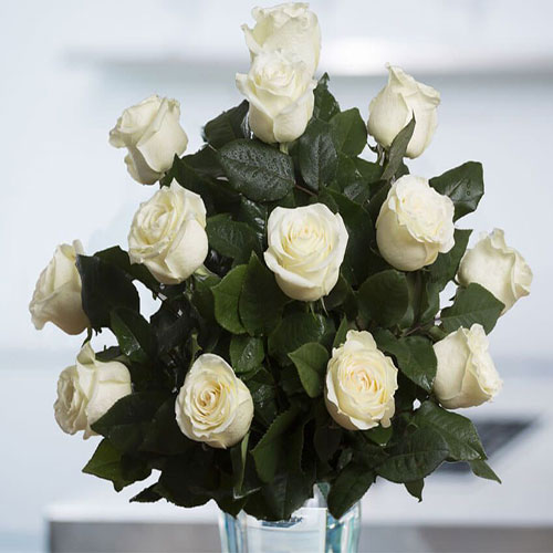 عکس گلدان گل رز سفید