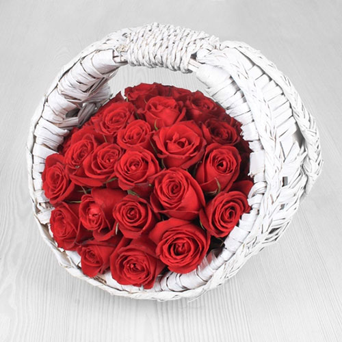 عکس گل رز قرمز در دست دختر