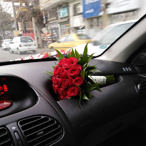 عکس گل رز قرمز در دست دختر