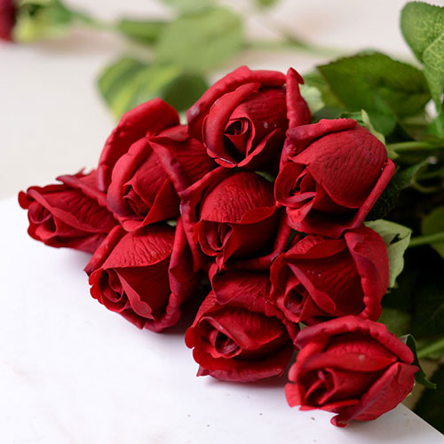 عکس گل رز قرمز در دست دختر