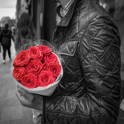 عکس گل رز قرمز با کیفیت hd