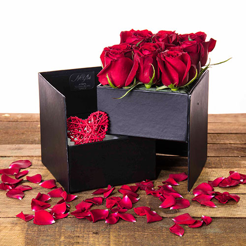 عکس گل رز قرمز در دست دختر