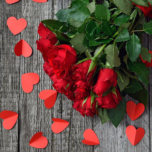 گل رز قرمز عاشقانه طبیعی