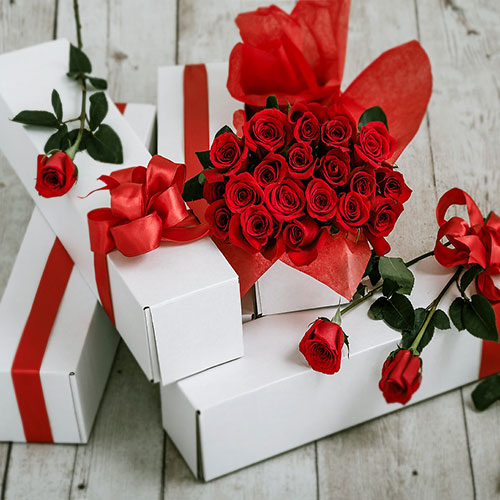 عکس گل رز قرمز در دست دختر