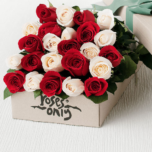 عکس باکس گل رز قرمز و سفید