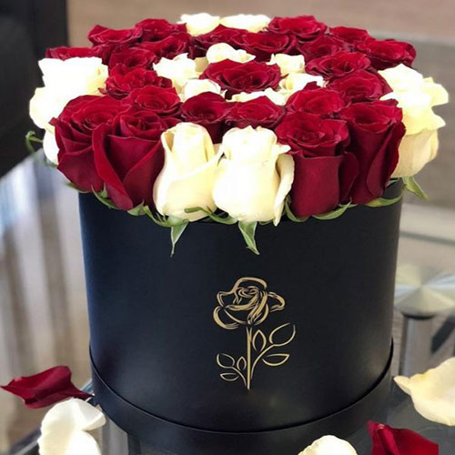 عکس گل رز قرمز در دست دختر