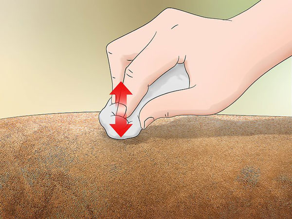 آموزش پاک کردن لکه جوهر از روی مبل مخملی