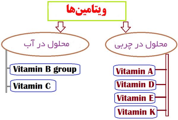 تفاوت ویتامین محلول در آب و محلول در چربی