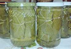 طرز تهیه کنسرو برگ مو با ماندگاری بالا