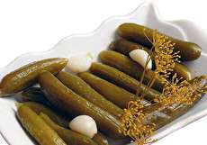 بهترین روش کاهش شوری خیارشور