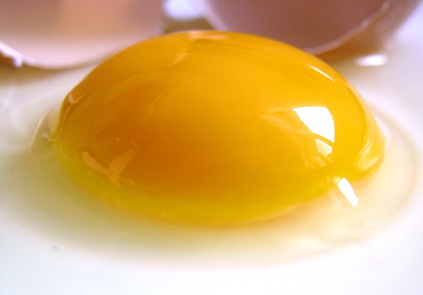 زرده تخم‌مرغ منبع غنی از آهن، کلسیم و ویتامین D محسوب می‌شود