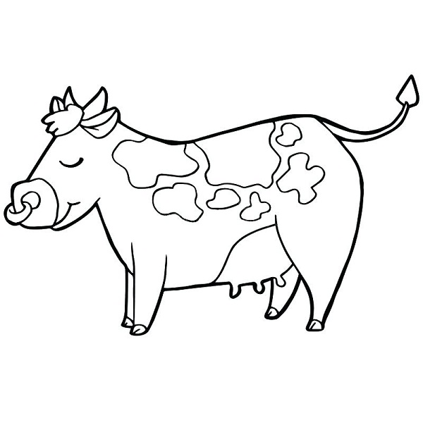 نقاشی گاو برای رنگ آمیزی