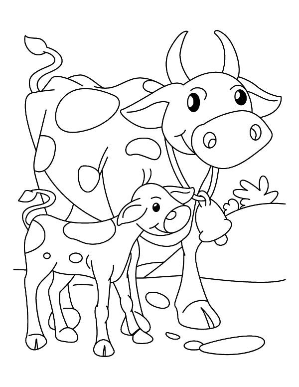 نقاشی گاو با بچه‌اش