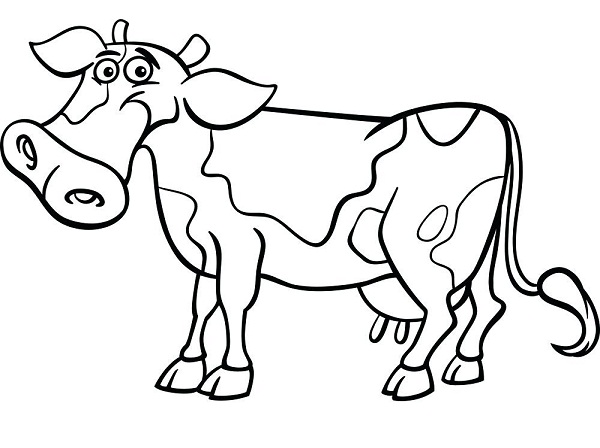نقاشی گاو شیرده برای رنگ‌آمیزی