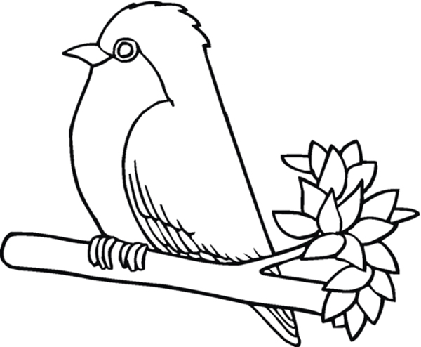 مدل ساده نقاشی پرنده برای کودکان برای رنگ‌آمیزی