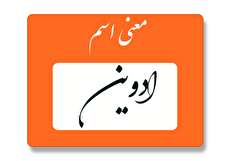 معنی اسم ادوین چیست؟ (ریشه، فراوانی و اسم های مشابه ادوین)