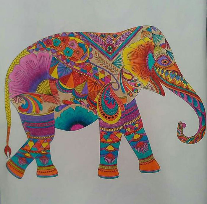 انواع مدل‌های نقاشی حیوانات برای کودکان برای رنگ‌آمیزی
