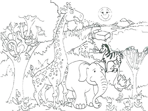 انواع مدل‌های نقاشی حیوانات در جنگل