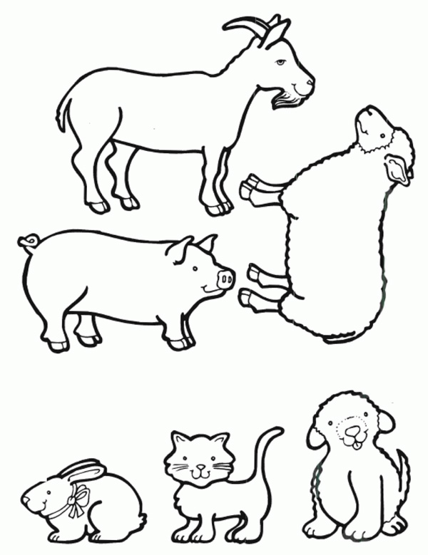 انواع مدل‌های نقاشی حیوانات اهلی برای کودکان برای رنگ‌آمیزی