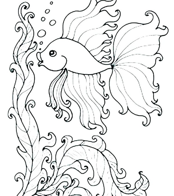     نقاشی ماهی با باله های زیبا