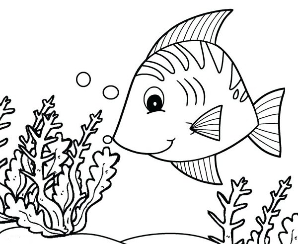 نقاشی ماهی بامزه برای کودکان