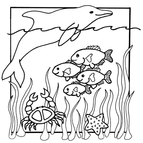 نقاشی ماهی برای کودکان