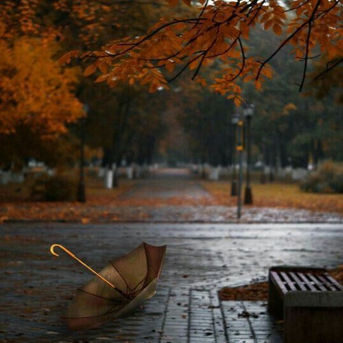  عکس پاییزی و چتر خیس