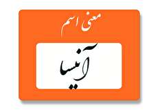 معنی اسم آنیسا چیست؟ (ریشه، فراوانی و اسم های مشابه آنیسا)