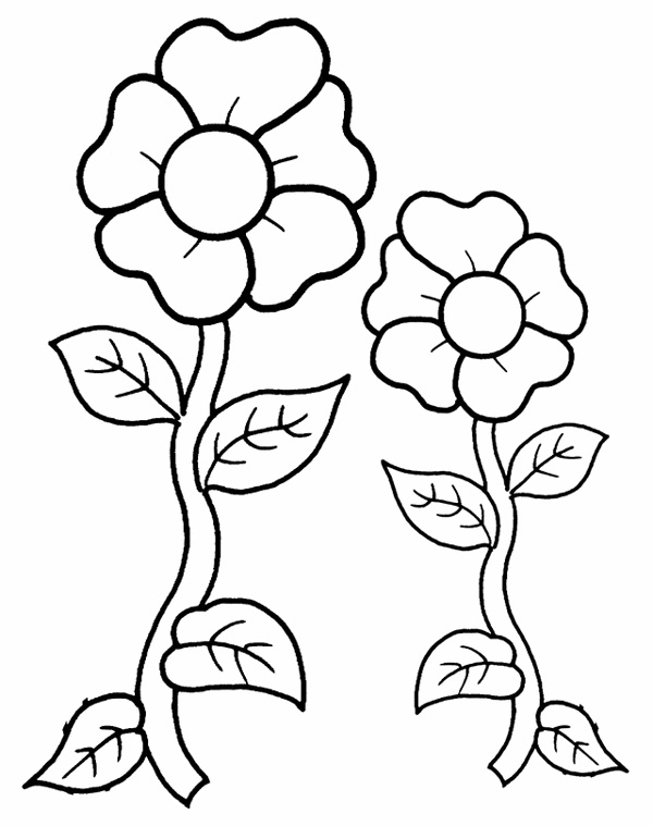 انواع ایده‌ نقاشی گل برای کودکان پیش دبستانی