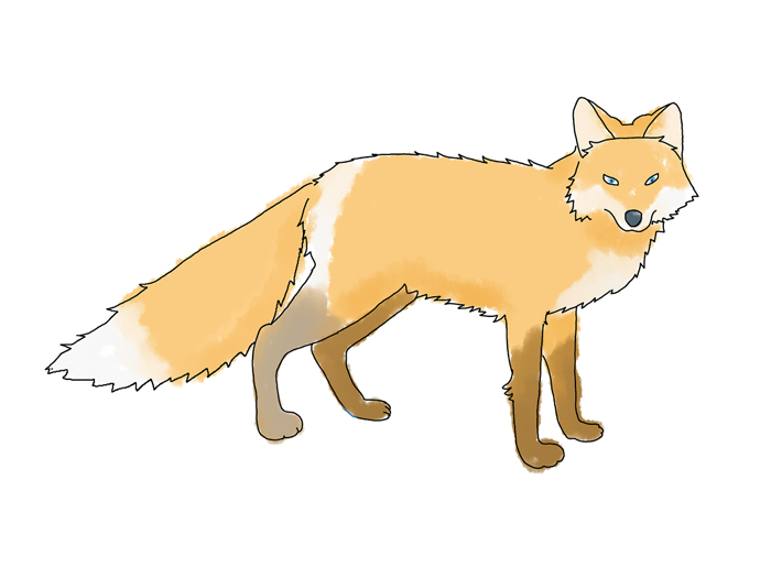 ایده‌های متنوع نقاشی روباه برای کودکان برای رنگ‌آمیزی