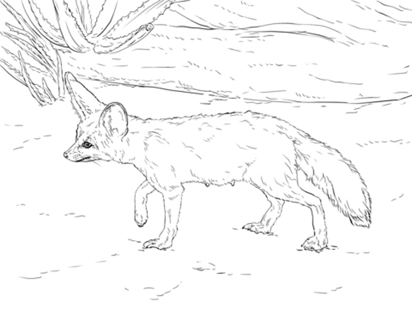 نقاشی روباه در طبیعت برای کودکان برای رنگ‌آمیزی