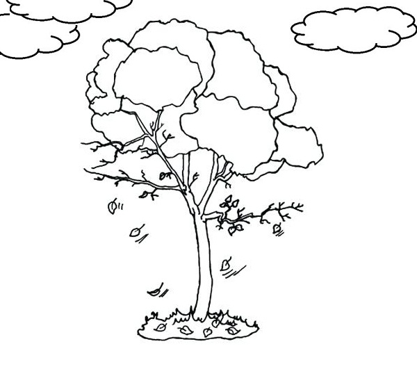 نقاشی درخت پاییزی برای کودکان