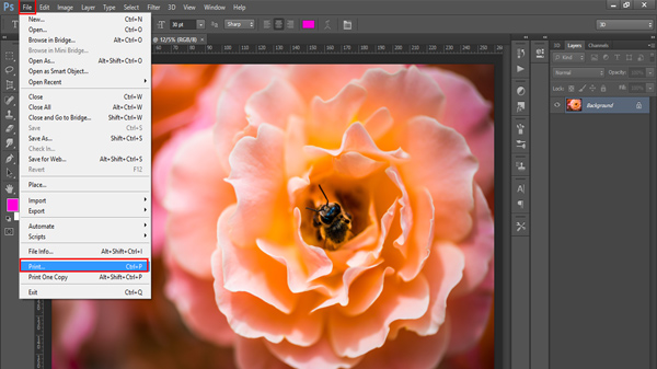 چگونه در فتوشاپ پرینت بگیریم؟