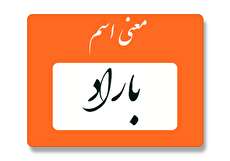 معنی اسم باراد چیست؟ (ریشه، فراوانی و اسم های مشابه باراد)