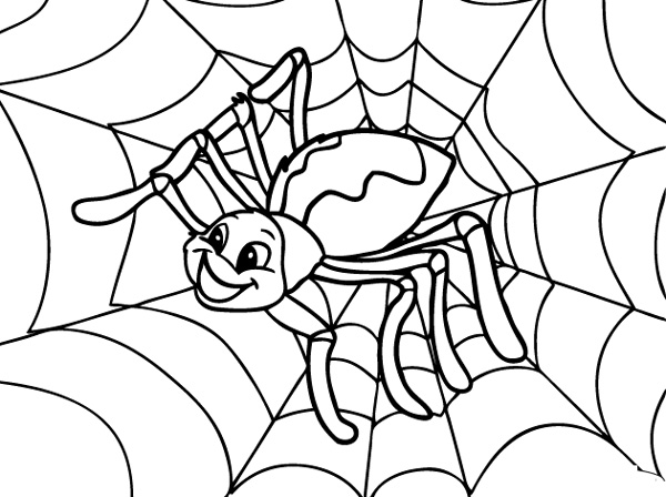  نقاشی عنکبوت زیبا و تار عنکبوت برای کودکان برای رنگ‌آمیزی