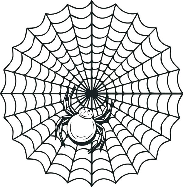 انواع نقاشی عنکبوت و تار عنکبوت برای کودکان برای رنگ‌آمیزی