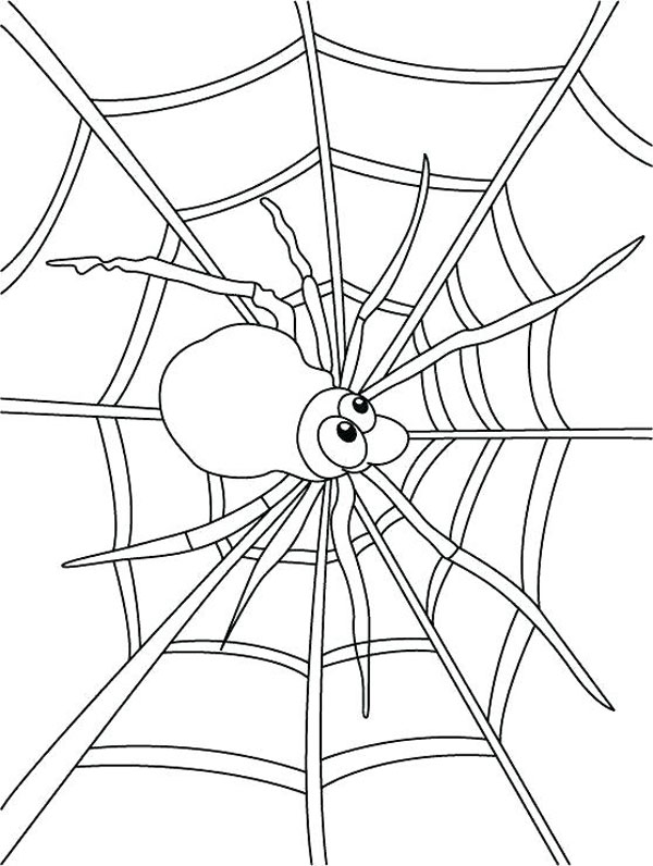 نقاشی عنکبوت و تار عنکبوت برای کودکان برای رنگ‌آمیزی