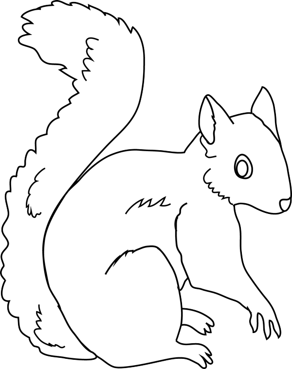  نقاشی ساده‌ی سنجاب برای کودکان
