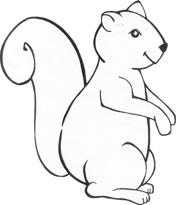 انواع نقاشی سنجاب برای کودکان