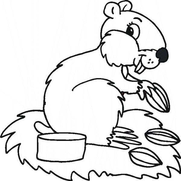 انواع نقاشی کارتونی سنجاب برای کودکان