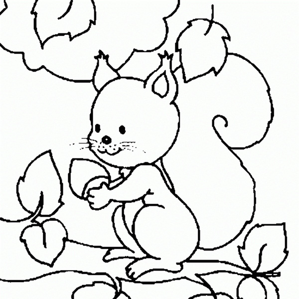 نمونه‌های متنوع نقاشی سنجاب در طبیعت برای کودکان