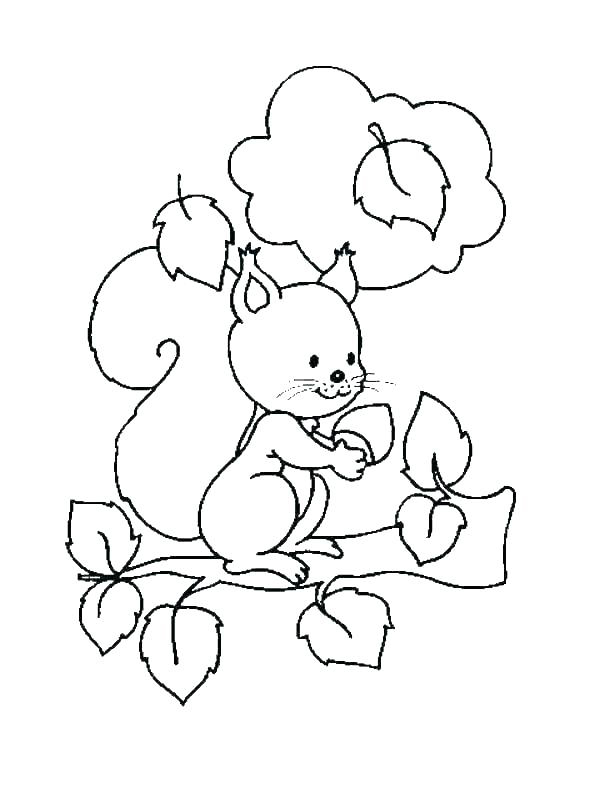 نقاشی سنجاب بازیگوش در طبیعت برای کودکان