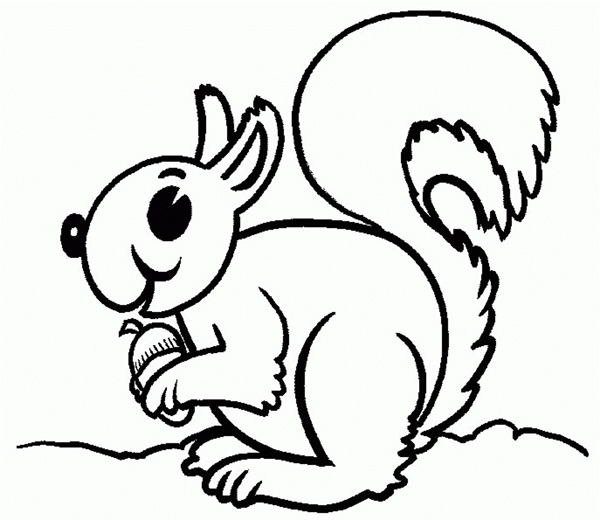 نقاشی کارتونی سنجاب برای کودکان برای رنگ‌آمیزی