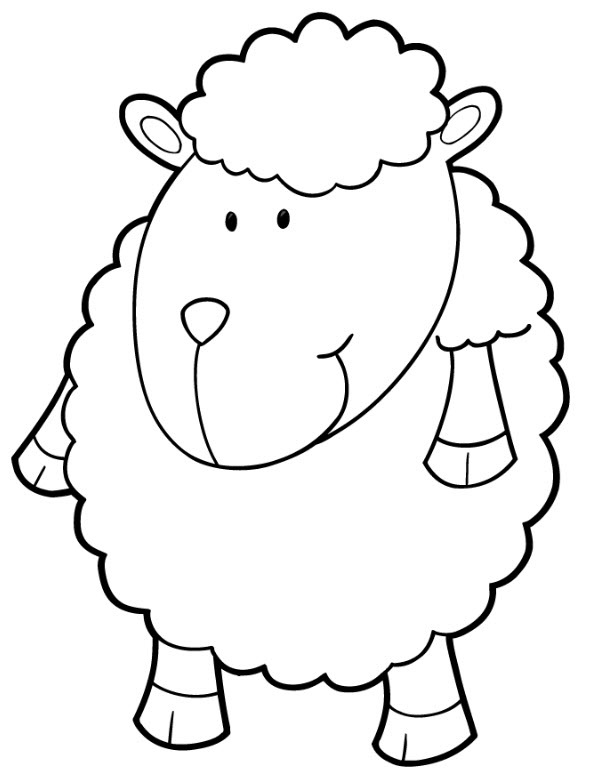 نقاشی گوسفند بامزه برای کودکان